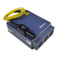 Source laser à fibre pulsée Raycus 20QS 30QS pour machine de marquage laser