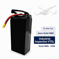 TPENERGY 6S 40Ah 22.2v Baterai Lipo Silikon Karbon Semi Solid State Cell NMC Daya Tahan Lama 4670 300-Cycle Inspeksi Industri
