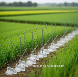 Ingrosso Dissuasori per Uccelli a 5 File con 75 Punte, Spuntoni Anti-Piccione per Protezione di Fattorie - Product Image 2