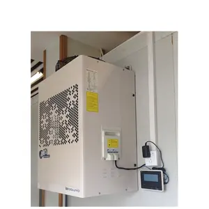 Il compressore monoblocco montato a parete cammina nell'unità di condensazione del congelatore