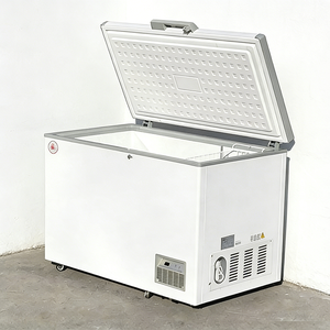 Congélateur coffre compact avec une température de -22°C ° Fonction de congélation profonde, faible encombrement, congélation rapide, idéal pour le stockage du poisson et de la viande - Product Image 3