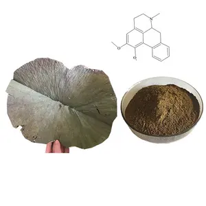 Julyherb 100% tinh khiết tự nhiên lá sen chiết xuất bột 1% ~ 10% nuciferine Hữu Cơ nuciferine để giảm cân