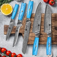 Professionnel 5 pièces ensemble de couteaux de cuisine damas manche en résine ensemble de couteaux de cuisine VG-10 acier damas couteaux de Chef