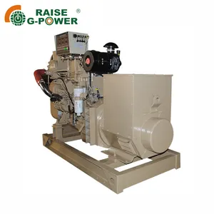 Raise G Power 20KW 380V 50HZ electrical starting gas turbine generators by CNG PLG and Biogas