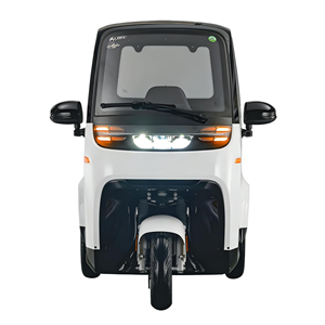 Tricycle électrique Yunlong EEC L2e E-Cabin-H1 avec moteur 1,5 kW, batterie au plomb-acide 60 V 58 Ah, 2 places, porte arrière ouvrable, autonomie maximale de <span class=keywords><strong>80</strong></span> km - Product Image 6