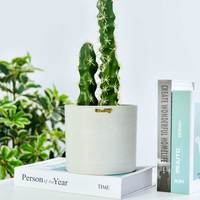 Greenship-Jardinière cylindrique de luxe élégante pour plantes intelligentes pots de fleurs
