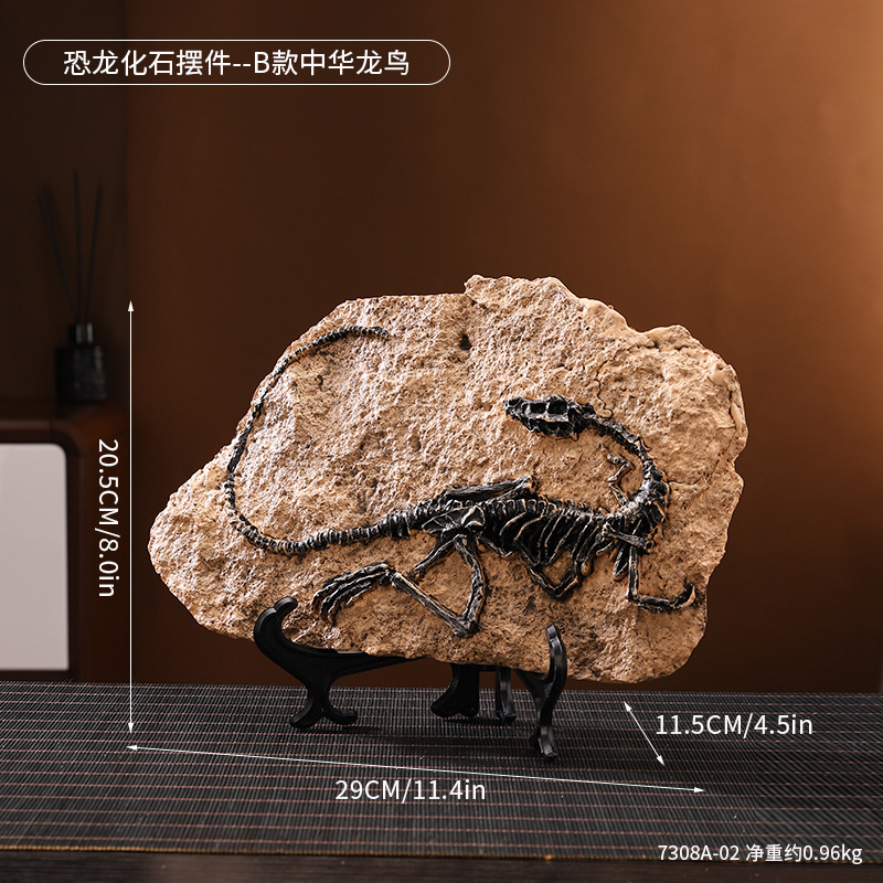 7308A-02 เครื่องประดับฟอสซิลไดโนเสาร์ - ประเภท B: Sinosauropteryx