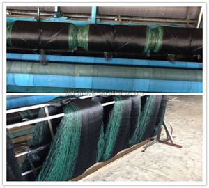 <span class=keywords><strong>Red</strong></span> de aves <span class=keywords><strong>invisible</strong></span> <span class=keywords><strong>para</strong></span> protección de cultivos agrícolas con malla de 17*17mm 15*15mm - Product Image 6