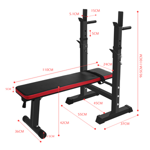 Factory Price Portable Adjustable Exercise Bench with Iron <strong>Weight</strong> <strong>Rack</strong> and Foldable Dumbbell <strong>Rack</strong> for Indoor Gym Workout - Product Image 3