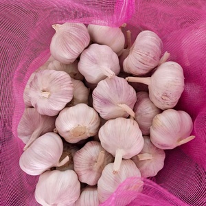 Ajo Fresco, Ail Fresco, Alho Fresco, Ajo Blanco Fresco, Ail Fresco Liliáceo, Precio al por Mayor, Marca Óptima - Product Image 1
