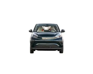2024 Chery New Energy-Little Ant321kmのみラブエディション安い自動車EV車中古車