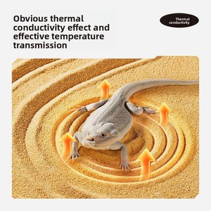 ทรายแคลเซียมสำหรับสัตว์เลื้อยคลานขายดีที่สุด เหมาะสำหรับตุ๊กแกเสือดาว ตกแต่งภูมิทัศน์ตู้เลี้ยงสัตว์เลื้อยคลานในทะเลทราย และเป็นวัสดุเพาะพันธุ์สัตว์เลื้อยคลาน - Product Image 3