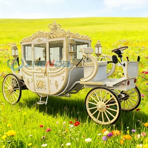 Carroza Turística Eléctrica de Último Diseño con Color Personalizable, para 6 Personas, con Neumáticos de Goma Sólida, Carro de Turismo, Buggy de Acero - Product Image 3