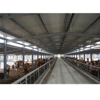 Structure en acier préfabriquée à faible coût pour élevage de chèvres, de moutons, de bétail, conception de hangar, maison à vendre