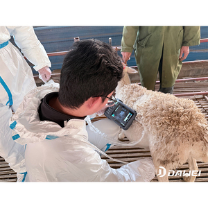 Outil de diagnostic vétérinaire LED Dawei de 5,6 pouces, appareil d'échographie vétérinaire portable léger pour les tests de gestation en élevage - Product Image 1