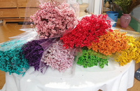 Harga Grosir Kualitas Tinggi 100-120g Bunga Lavender Laut Kering Buatan yang Diawetkan 70-80cm untuk Hari Valentine Natal