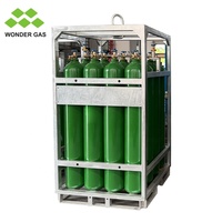 DNV 2.7-1 Porte-bouteilles de bouteilles de gaz offshore galvanisé standard Conteneur 4*4 avec cadre de levage Faisceau de porte-bouteilles d'azote