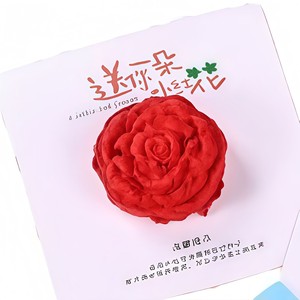 Regalos Creativos, Corazón de Semillas 3D, Regala una Pequeña <span class=keywords><strong>Estrella</strong></span> Plantable, Papel Hecho a Mano - Product Image 4