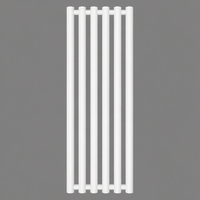 Radiateur vertical sur mesure, économe en énergie, installation facile, design mural flexible pour salle de bain moderne, OEM à vendre