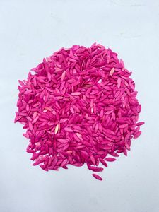 เมล็ดแตงกวาเบบี้ โบทานี ซาสวารา เมราห์ มูดา 100% ผลผลิตสูง ไม่ขม 1,000 กรัม จากผู้จัดจำหน่าย - Product Image 3