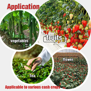 Siêu Kali Humate Cao Cấp Hữu Cơ Biostimulant Chất Lượng Cao Nông Nghiệp Phân Bón Siêu Humic Axit - Product Image 3