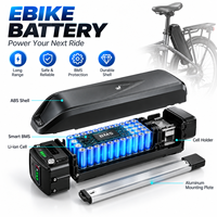 Custom Logo 36V 48V 1200 Cycles 8000w Lithium Ebike Battery BMS Pack Ebike Conversion Kit With Battery