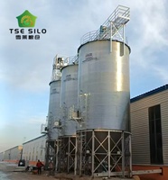 Silo in acciaio senza pulizia manuale per linea di produzione mangimi, tramoggia di stoccaggio ausiliaria con fondo in acciaio