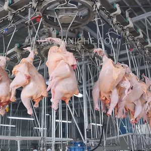 青岛雷尼舍加工设备厂家鸡肉屠宰机家禽屠宰场出售