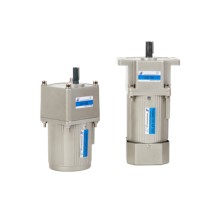 Fabricant de moteurs AC monophasés de 6W à 750W 220V, moteurs AC à engrenages pour machines alimentaires et d'emballage