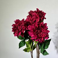 Bunga Dahlia Buatan Real Touch Li006 Bulk Moist, Tangkai Besar, Sutra, untuk Dekorasi Pernikahan, Hotel, dan Pengaturan Luar Ruangan, Bunga Realistis