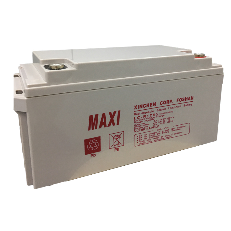 Low Price Lead Acide Regular Battery