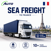 Agent d'expédition DDP Chine vers France Logistique internationale Fret maritime Livraison à domicile Dédouanement