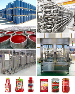 خط إنتاج عالي الجودة لصنع معجون الطماطم المركز، معدات تصنيع الكاتشب - Product Image 6