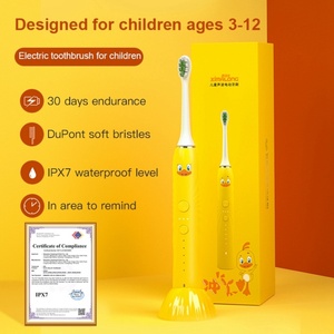 Soins bucco-dentaires et appareils de beauté personnels pour la maison Brosse à dents électrique rechargeable par USB Brosse à dents ultrasonique - Product Image 3