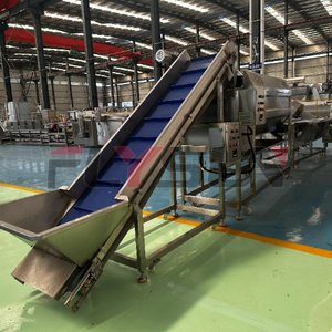 Conveyor Belt Industrial Fryer Complete Frying <b>Equipment</b> for Meat Products Pasta and Fruit Vegetable Crisps - Product Image 3