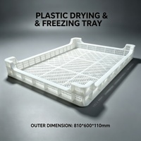 Plateau de séchage en plastique HDPE de qualité alimentaire, empilable, perforé, 810*600*110mm, pour fruits, légumes, séchage à l'air, congélation des fruits de mer