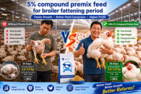 Prémélange Alimentaire Composé de Haute Qualité SAIK à 5% avec Acides Aminés et Vitamines de Qualité Alimentaire pour la Phase d'Engraissement des Poulets de Chair