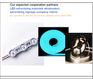 Módulo LED de 3 luces con color y voltaje personalizables, 150 lúmenes y alta eficiencia luminosa, 5 años de garantía, módulo publicitario - Product Image 3