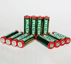 Аккумуляторная батарея типа P - Product Image 1