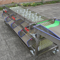 Machine de tri et de calibrage multifonctionnelle pour pommes de terre, ail, cerises, prunes, dattes, noix de cajou, ananas, légumes et fruits