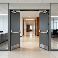 Portes en acier ignifugées modernes de haute qualité, poignées personnalisables prêtes à l'emploi pour les écoles et les sorties de secours