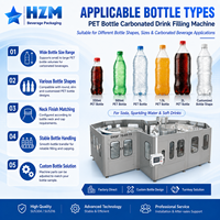 Máquina de Llenado CSD 4000BPH Automática de Acero Inoxidable SUS304 Isobarica 3 en 1 (Enjuague, Llenado y Tapado) para Línea de Bebidas Carbonatadas