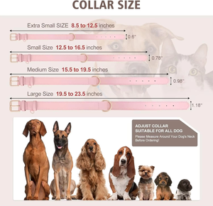 Nibao Custom Kleuren Verstelbare Zacht Gewatteerde Lederen Halsband Heavy Duty Metalen Gesp Hond Halsband - Product Image 6