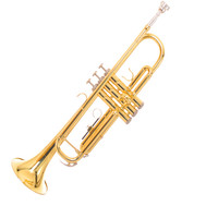 Professional Gold Lacquer Brass Trumpet in B-flat Major (BB)-Beginner-Friendly