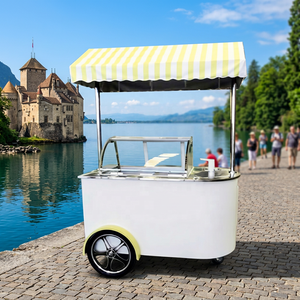 Triciclo Eléctrico Móvil Q235B de Acero Personalizado en Color y Tamaño para Venta de Helados y Alimentos Fríos en la Calle - Product Image 1