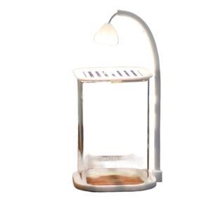 Klein Milieuvriendelijk Glazen Aquarium Met Luchtpomp En Nachtlampje 2.5l Desktop Aquarium Cadeau-Item - Product Image 6