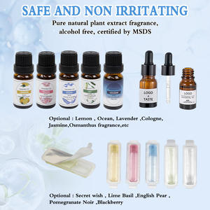 Set de Regalo de Aceites Esenciales Puros, Difusores, Humidificadores, Marca Privada Personalizada, Aceite de Aromaterapia de Lavanda, Aceite Esencial de Romero para Coche - Product Image 1