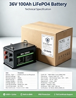 Paket Baterai LiFePO4 Solid State 36V100Ah yang Dapat Diisi Ulang, Tahan Lama, Cocok untuk OEM, Energi Surya, Perahu, dan Golf Cart 500