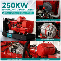 Générateur Cummins 10kw 20kw 30kw/kva 50kw 100kw 500kw 1mw 2mw au biogaz, gaz naturel, propane, GPL, GNC, GNL pour l'alimentation industrielle et minière