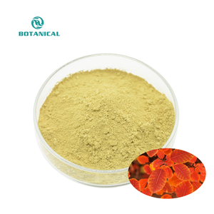 Fisetina in Polvere di Alta Qualità OEM Etichetta Privata Estratto di Cotinus Coggygria in Polvere Naturale Puro 50% 85% Fisetina - Product Image 2